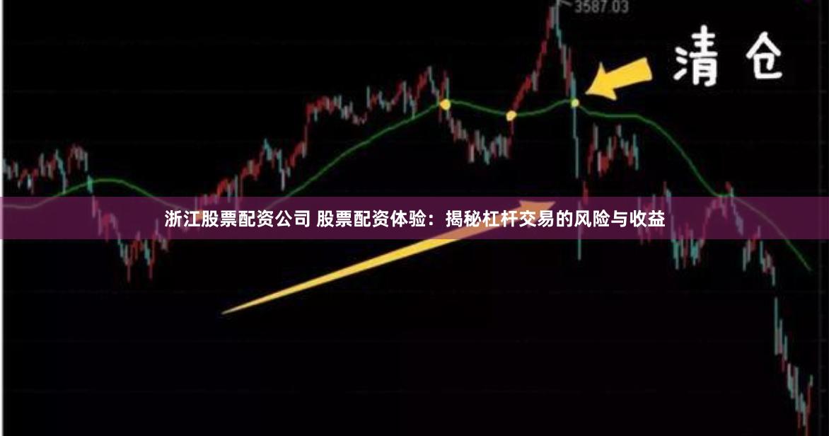 浙江股票配资公司 股票配资体验：揭秘杠杆交易的风险与收益